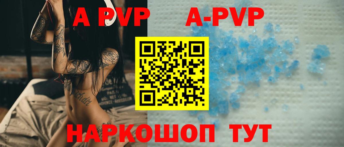 A PVP СК  А ПВП  Тамбов  Вход с VPN 