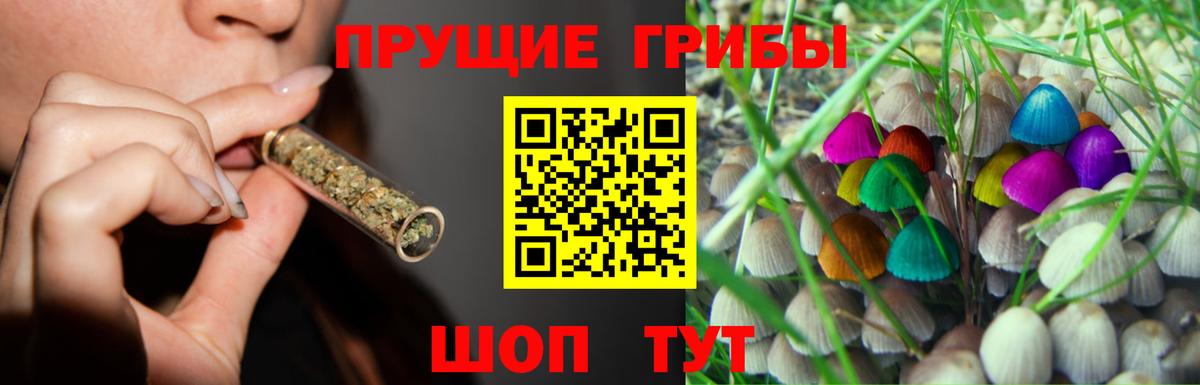 Тамбов  Псилоцибиновые грибы прущие грибы  Вход с VPN 